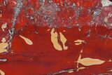 Polished Mookaite Jasper Slab - Australia #166039-1